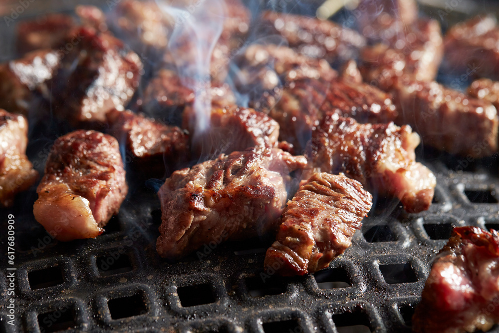 grilled meat on the grill	