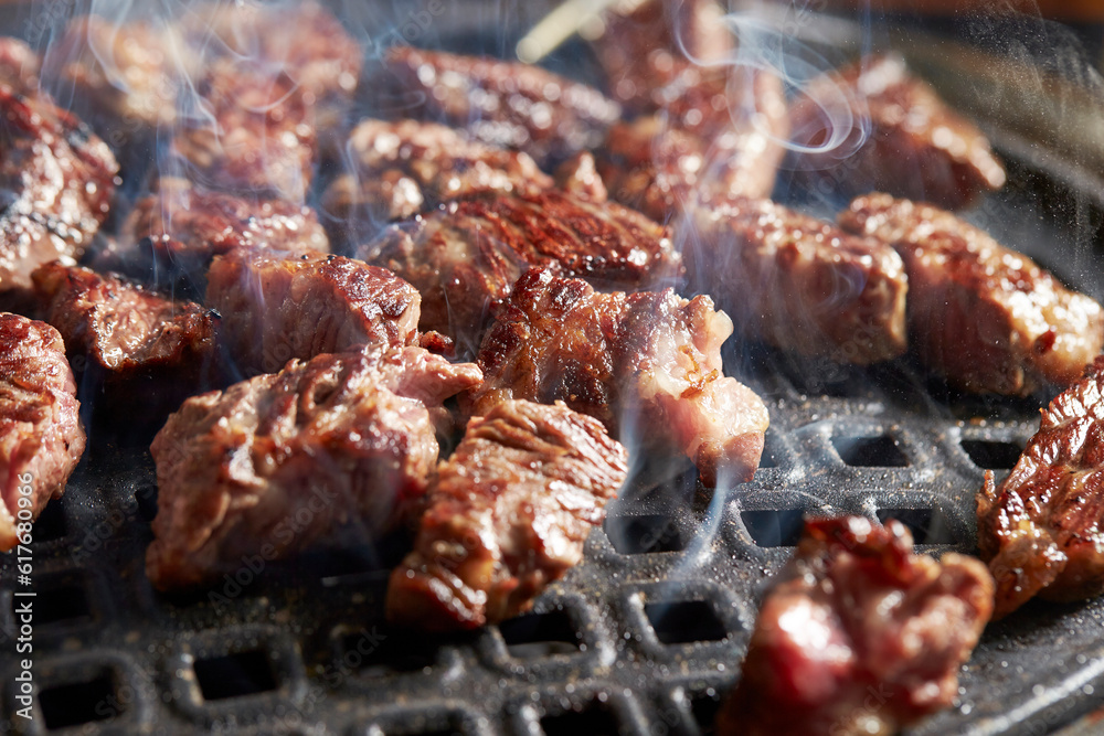 grilled meat on the grill grilled meat on the grill