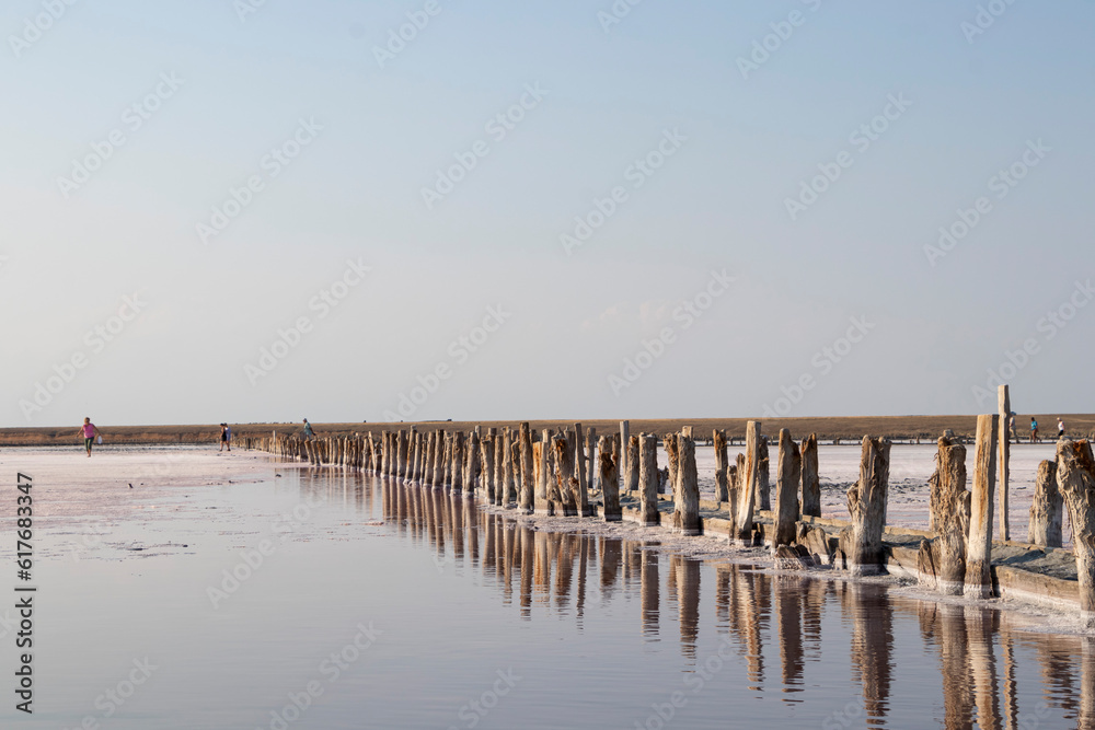 Beautiful view of the salty pink lake, seascape