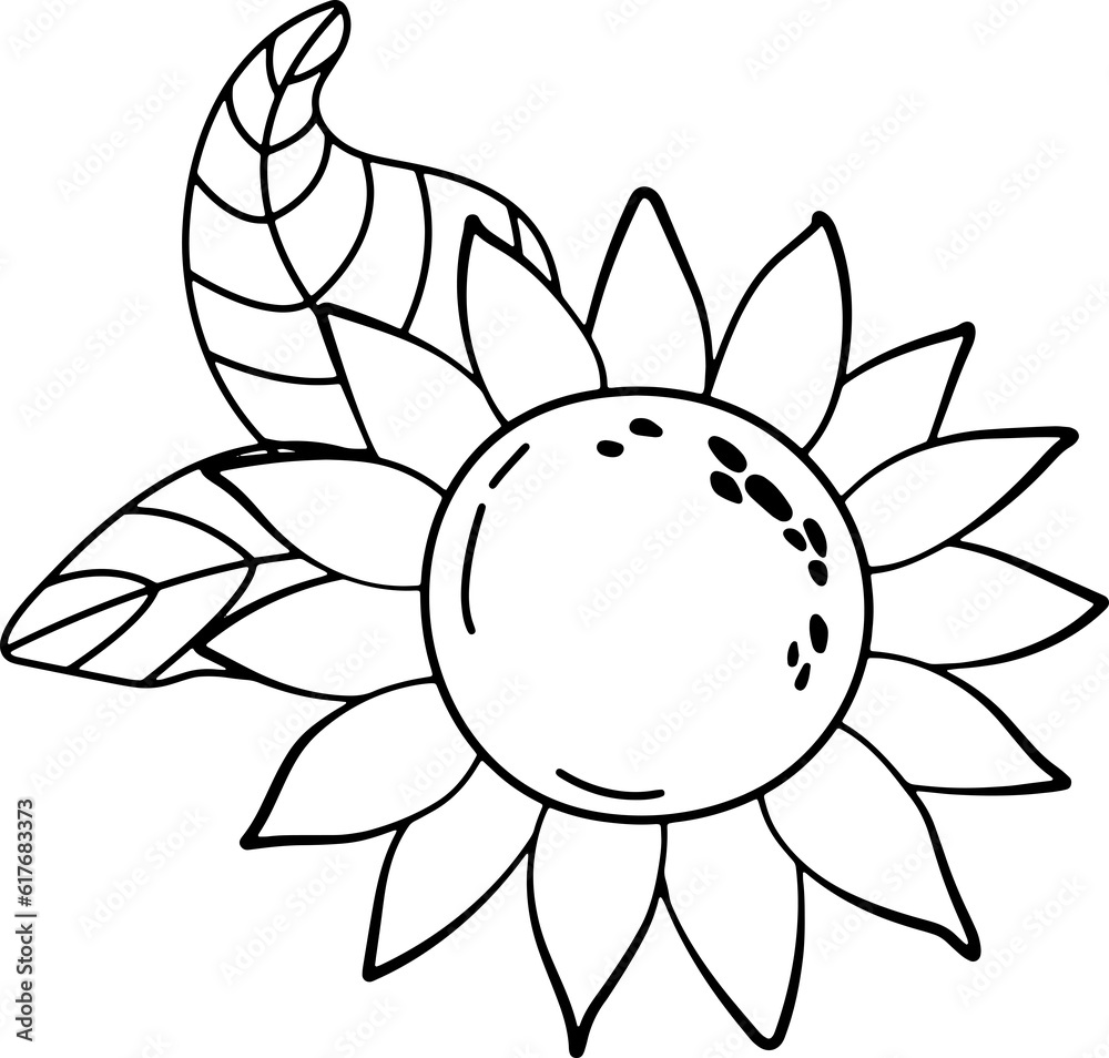 Sunflower. Linear style. White background, isolate. Sunflower. Linear style. White background, isolate.