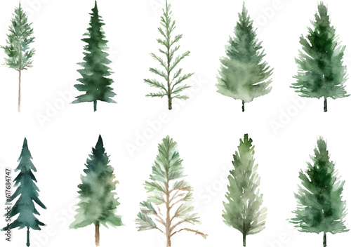 Set Watercolor vector pine tree illustration  isolated white background  flower clipart  for bouquets  wreaths  arrangements  wedding invitations  anniversary  birthday  postcards  greetings
