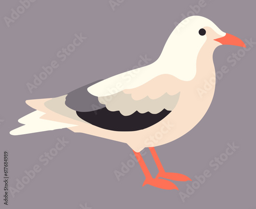 seagull flat vector illustration