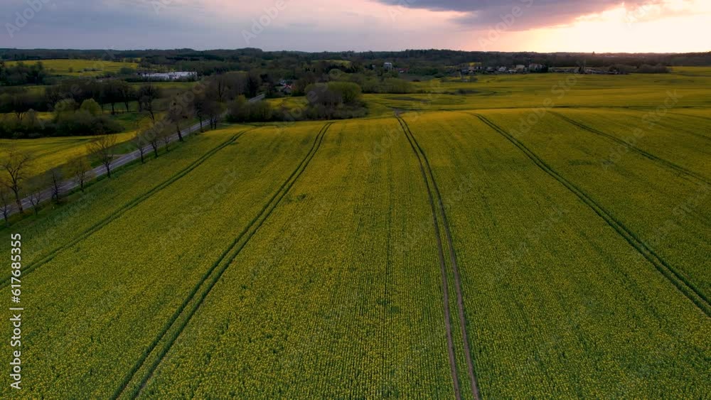 Aerial drone descends above green farm fields with tractor tracks 