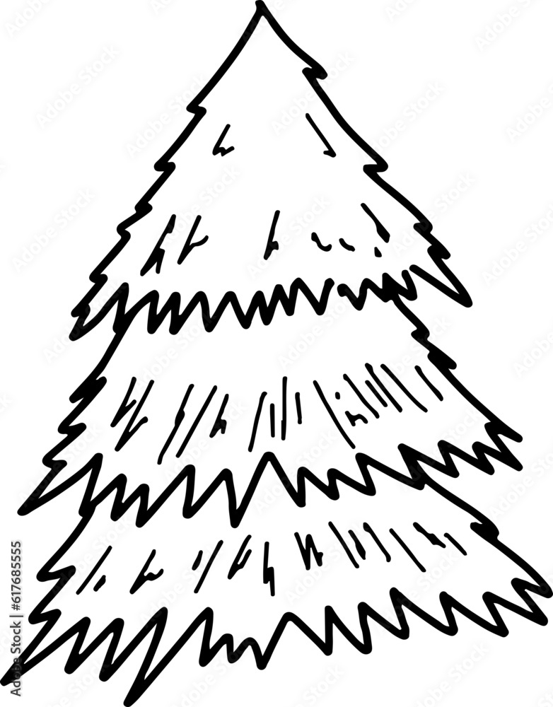 hand drawn pine tree hand drawn pine tree