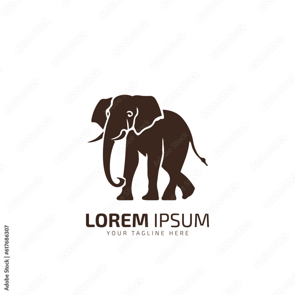 Obraz premium elephant logo icon designs vector silhouette