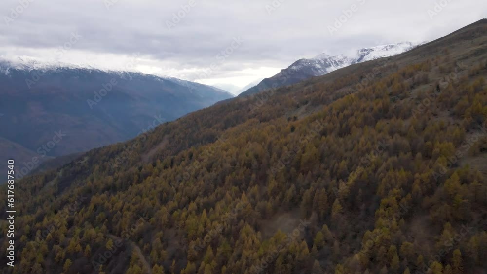 Aerial of mountains covered in the autumn forest with yellow trees on a cloudy day Aerial of mountains covered in the autumn forest with yellow trees on a cloudy day