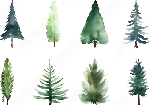 Set Watercolor vector pine tree illustration  isolated white background  flower clipart  for bouquets  wreaths  arrangements  wedding invitations  anniversary  birthday  postcards  greetings