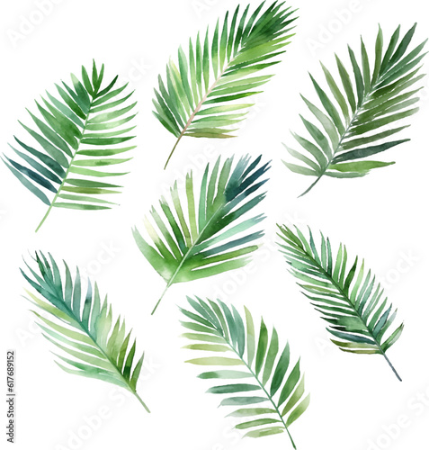 Set Watercolor vector pine tree illustration, isolated white background, flower clipart, for bouquets, wreaths, arrangements, wedding invitations, anniversary, birthday, postcards, greetings