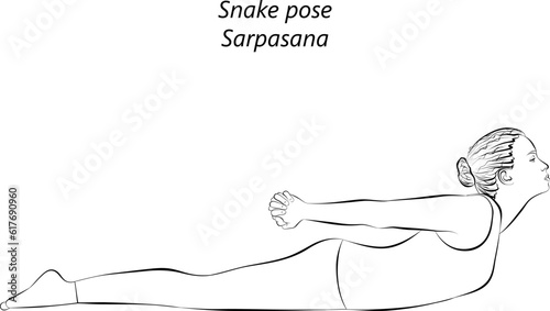 Sketch of young woman practicing yoga, doing Snake pose. Sarpasana. Prone and Backbend. Beginner. Isolated vector illustration.