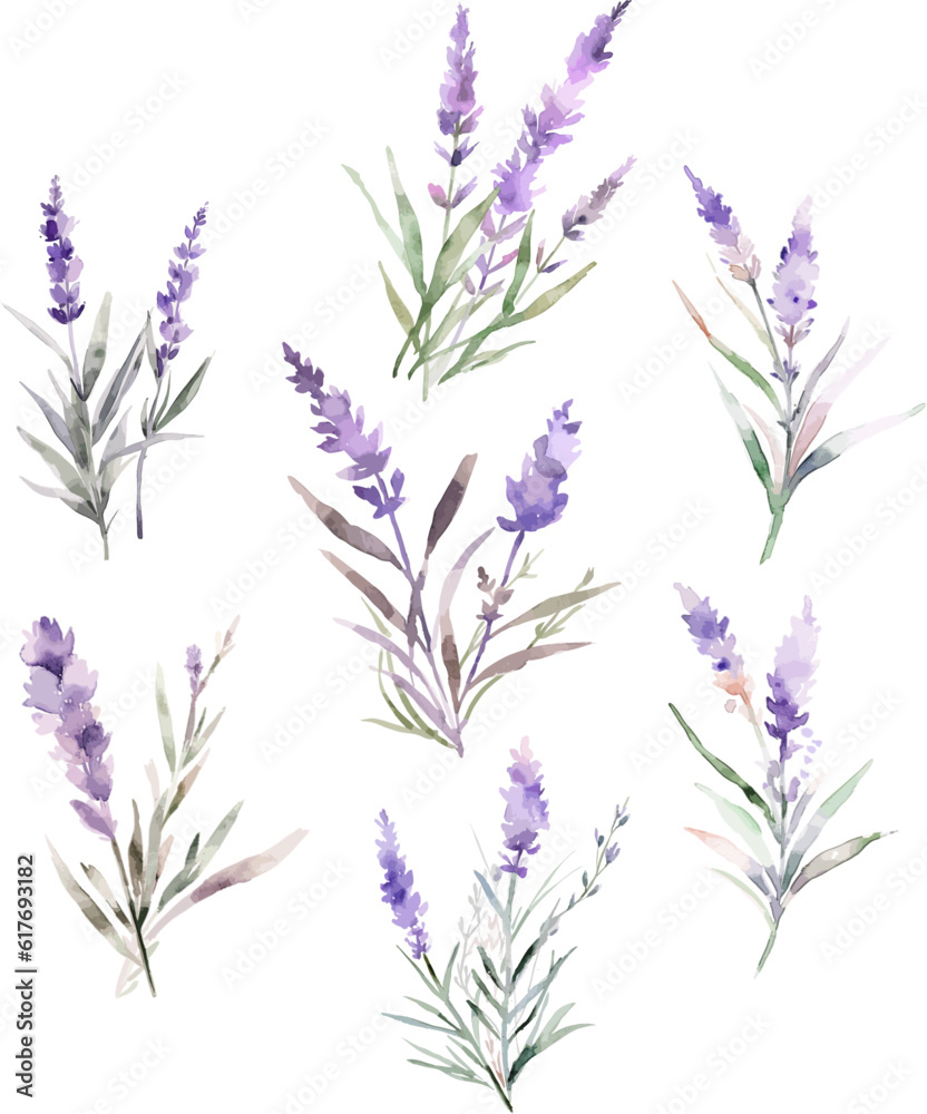 Fototapeta premium Set Watercolor vector pine tree illustration, isolated white background, flower clipart, for bouquets, wreaths, arrangements, wedding invitations, anniversary, birthday, postcards, greetings