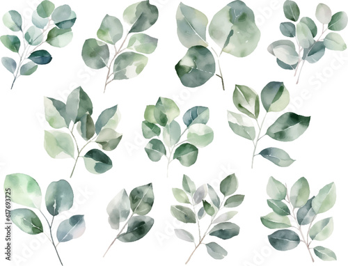 Set Watercolor vector pine tree illustration, isolated white background, flower clipart, for bouquets, wreaths, arrangements, wedding invitations, anniversary, birthday, postcards, greetings