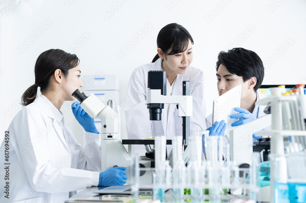 Scientists discussing progress in the laboratory
Scientists discussing progress in the laboratory