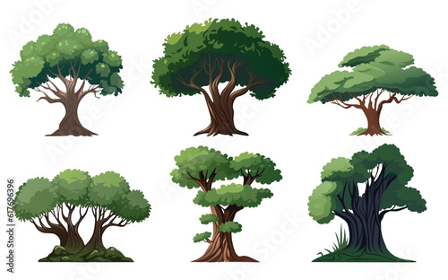Cartoon style bonsai tree colourful vector illustration. Vector tree illustration on white background.