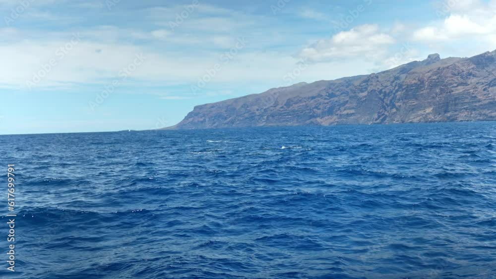 Bottlenose Dolphins surfacing in Tenerife. Encounter with wild Tursiops in Slow Motion. Dolphin Watching trip in the Canary Islands. Wildlife in blue water of Atlantic Ocean around Tenerife Island. Bottlenose Dolphins surfacing in Tenerife. Encounter with wild Tursiops in Slow Motion. Dolphin Watching trip in the Canary Islands. Wildlife in blue water of Atlantic Ocean around Tenerife Island.