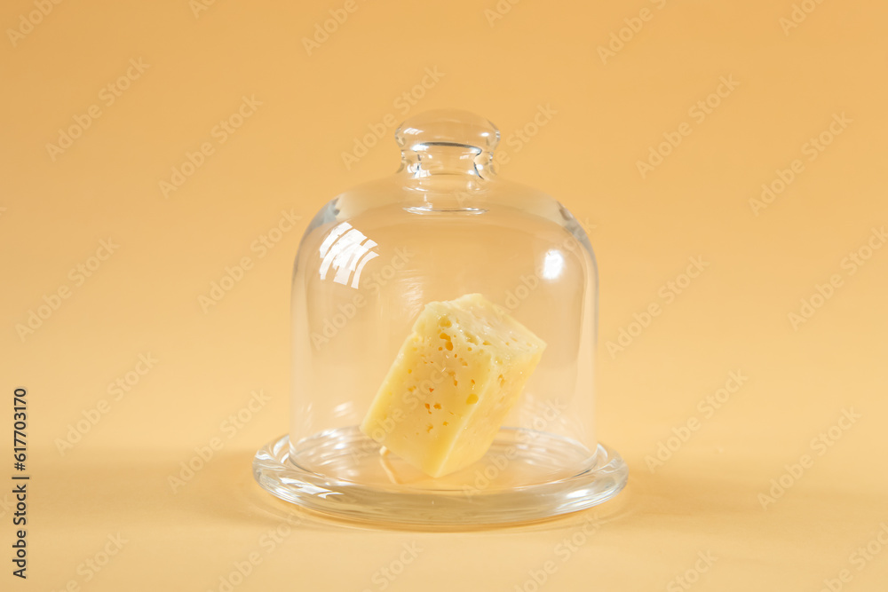 Piece of cheese with holes under the glass dome. Piece of cheese with holes under the glass dome.