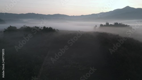 4k Drone flying over misty trees at sunrise in Northern Thailand at Phu Langka viewpoint photo