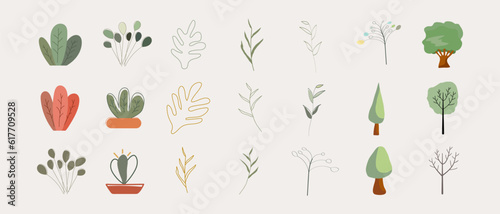 Set plant decorative element design vector illustration. Houseplants isolated art.