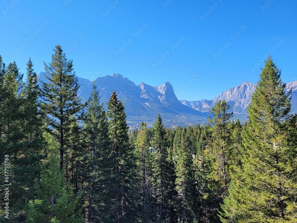 a mountain is in the distance and surrounded by green trees
