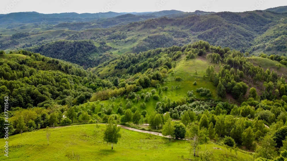 Tranquil landscape with an expansive green valley filled with trees and rolling hills
