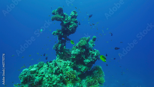 Fototapeta Naklejka Na Ścianę i Meble -  Silhouette of coral formation of an unusual bizarre shape on seabed,  Red sea, Safaga, Egypt