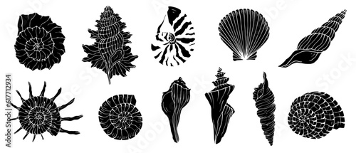 Set of silhouettes,doodles of seashells shells. Vector graphics.