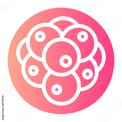 embryo gradient icon