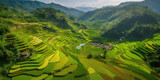 Panoramic landscape of Indonesian rice field terraces on a mountain, rice field terrace. super wide rice field panorama, generative AI