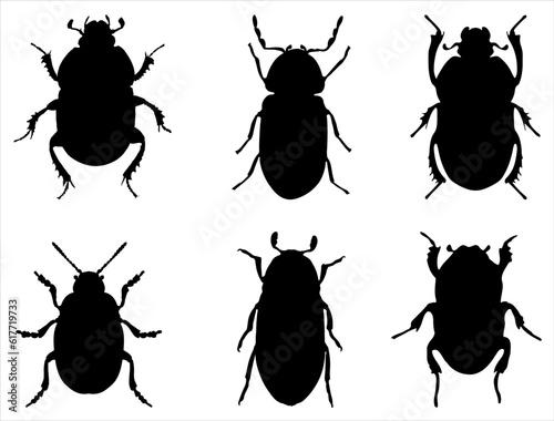 Set of Beetle Silhouette Vector Art on White Background
