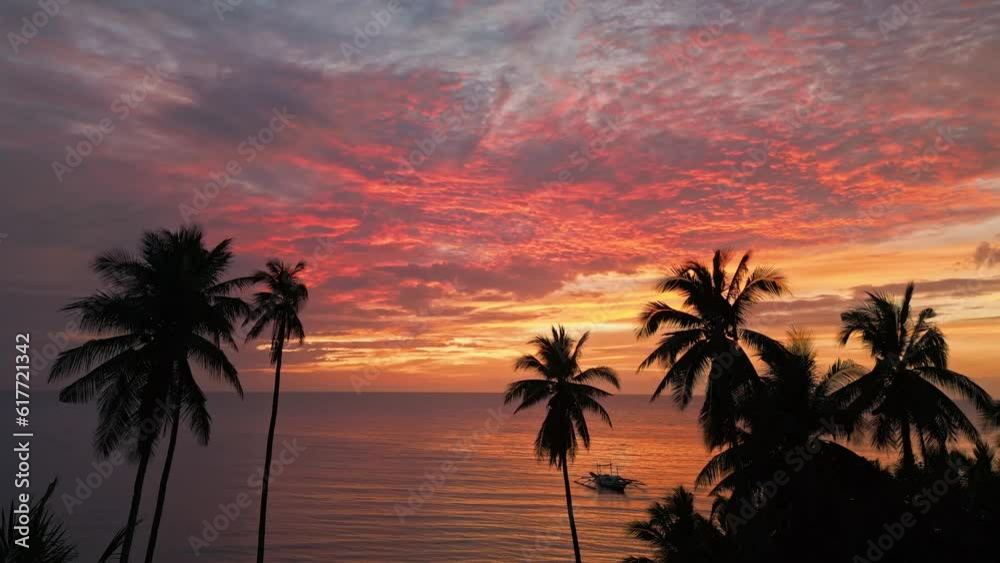 Aerial video of tropical palm trees on the sea shore during sunset Aerial video of tropical palm trees on the sea shore during sunset