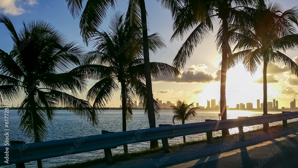 Fototapeta premium Scenic view from the highway on the silhouette of the skyline of Miami downtown during sunset, Florida, USA. Exotic palm trees in the foreground creating a calm, relaxed and tranquil atmosphere