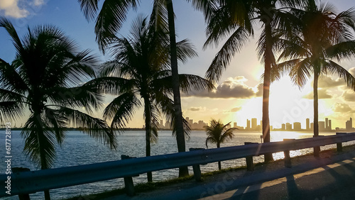 Scenic view from the highway on the silhouette of the skyline of Miami downtown during sunset, Florida, USA. Exotic palm trees in the foreground creating a calm, relaxed and tranquil atmosphere