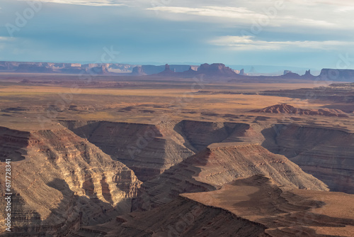 Scenic aerial vistas of desert landscape and canyons of Valley of the Gods seen from remote cliff Muley Point near Mexican Hat  San Juan county  Utah  USA. Monument valley seen in the distance