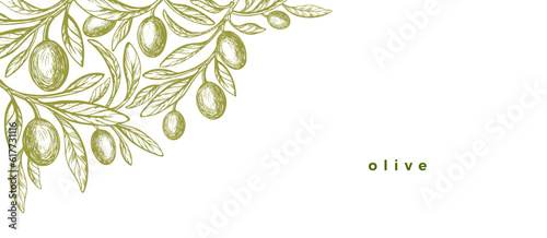 Olive leaves Art corner Vintage tree, green fruit