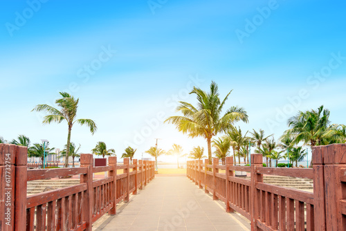 wooden boardwalk on the beach