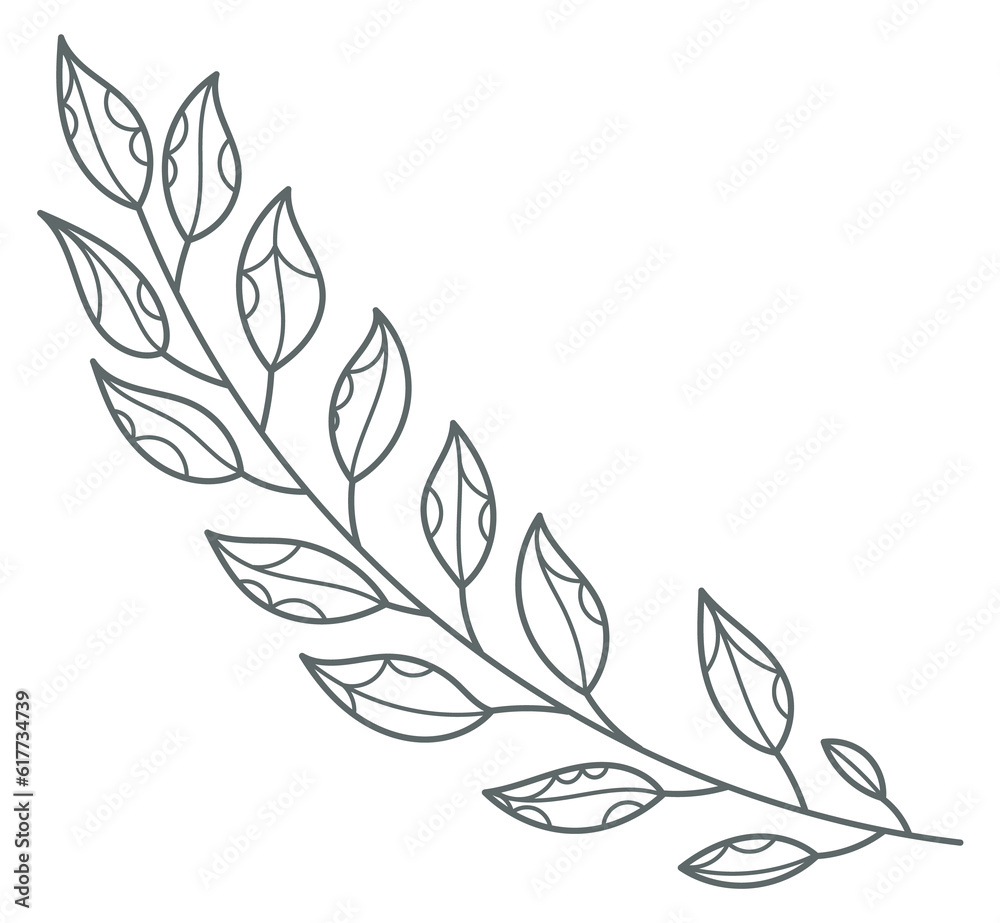 Plant branch. Decorative floral element. Natural botany Plant branch. Decorative floral element. Natural botany
