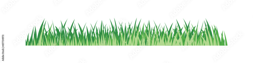 Fototapeta premium Green Landscape Illustration