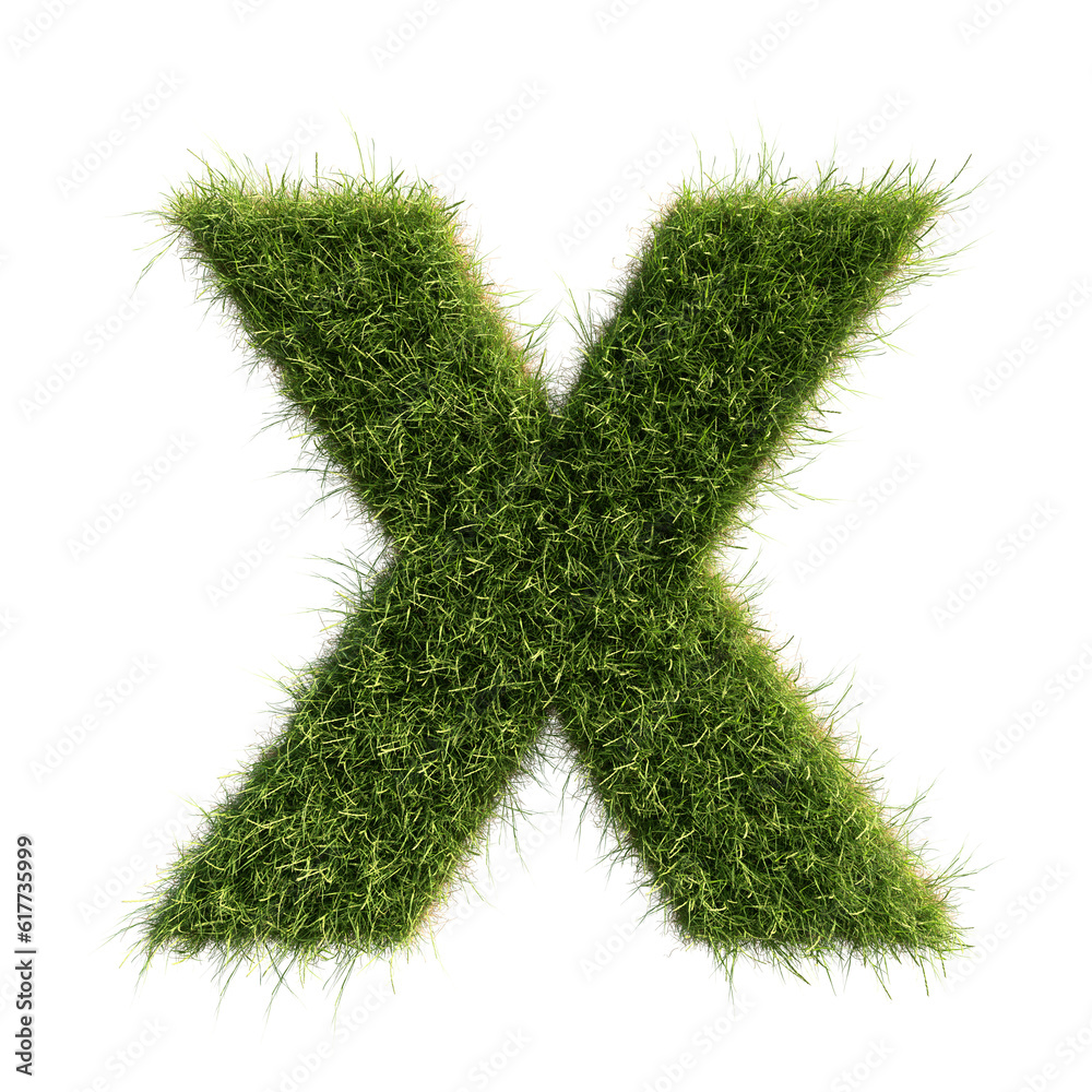 Grass alphabet X on transparent background, PNG file Grass alphabet X on transparent background, PNG file