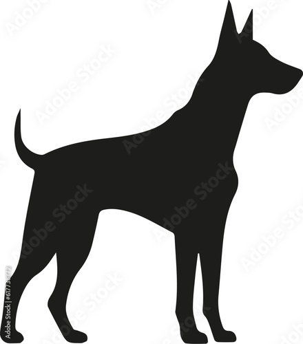 Doberman dog icon. Black silhouette. Vector illustration. Flat design.
