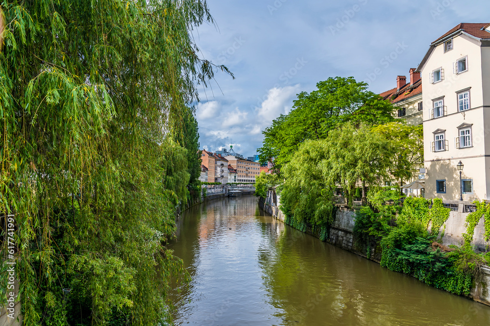 Fototapeta premium A view down the River Ljubljanica away from the center of Ljubljana, Slovenia in summertime