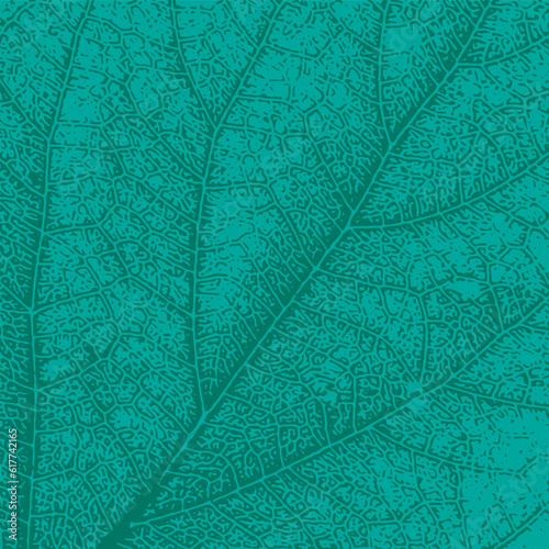 Leaf pattern. Vector illustration for your design. Eps 10.