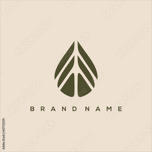 drop of palm leaf logo vector