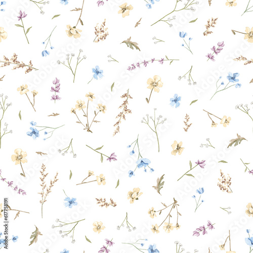 Seamless floral pattern with meadow dried flowers isolated on white background. Watercolor hand drawn illustration sketch