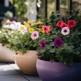 Colourful petunias in ceramic planters in sunny garden, created using generative ai technology