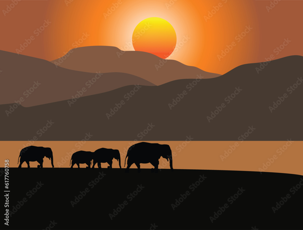 Naklejka premium elephants at sunset