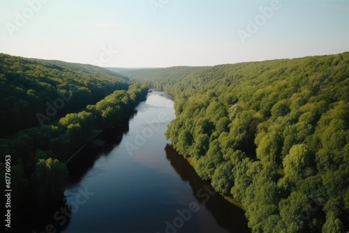 Aerial shot of river in forest, created using generative ai technology