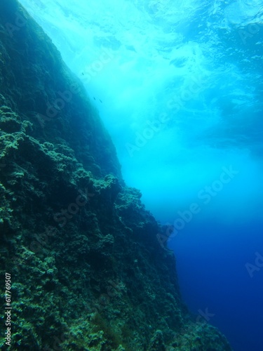 Underwater seascape  rocks and water surface with waves. Ocean ecosystem with stone wall and marine life. Underwater photography  scuba diving adventure.