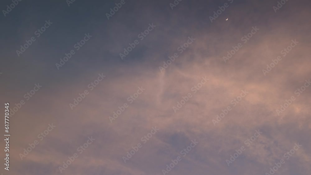 Birds flying at sunset almost dusk with the moon Birds flying at sunset almost dusk with the moon