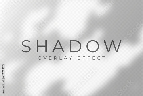 Shadow overlay effect. Transparent soft light and shadows from plant branches, leaves and foliage. Mockup of abstract transparent shadow overlay effect and natural lightning scene. Vector
