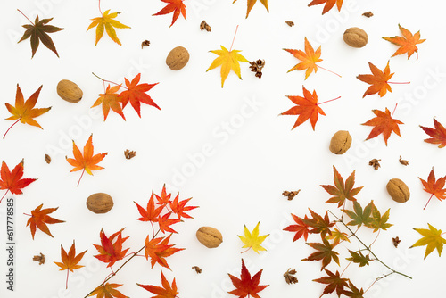 Autumnal frame with leaves and walnut on white background. Flat lay  top view. Thanksgiving day concept.