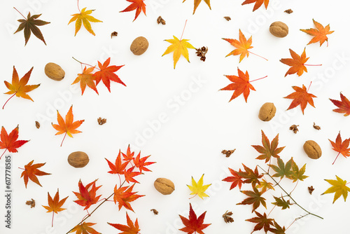 Wallpaper Mural Autumnal frame with leaves and walnut on white background. Flat lay, top view. Thanksgiving day concept. Torontodigital.ca